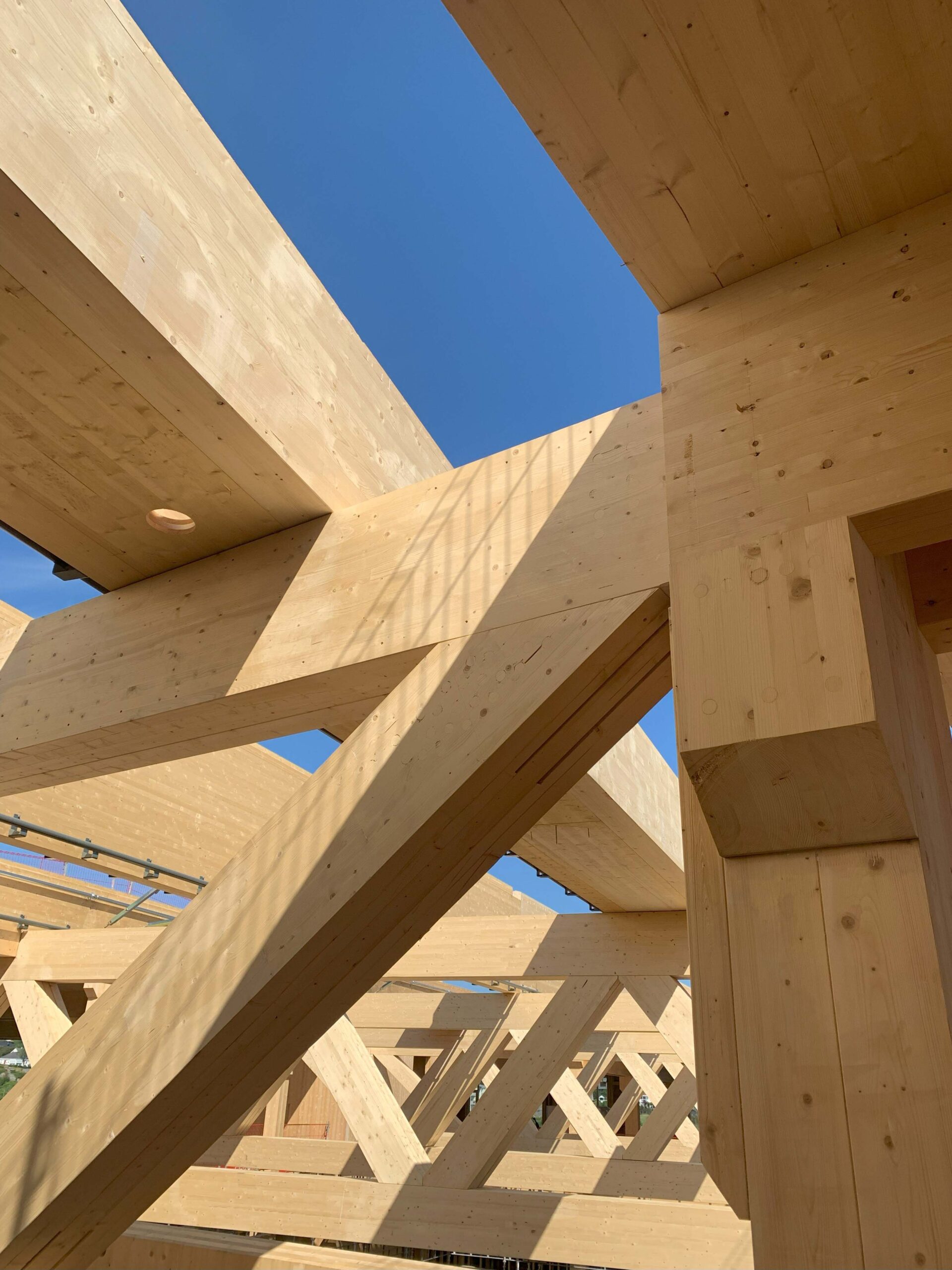 Massivtre fra Splitkon
